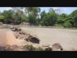 Kakadu!