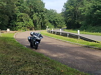 Viriat