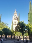 Mezquita1