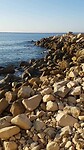 Sea1