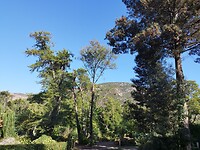 IMG_20220904_174019