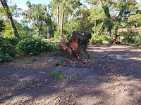 IMG_20220905_093526