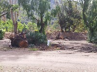 IMG_20220906_105102