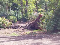 IMG_20220906_105151