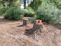 IMG_20220906_105409