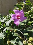 IMG_20220907_101338