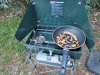 IMG_20220907_185017