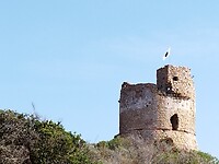 IMG_20220908_100411