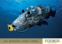 IMG_20220909_145304