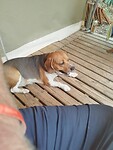 IMG_20220909_185135