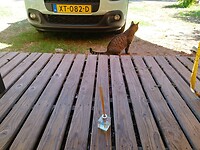 IMG_20220910_141141
