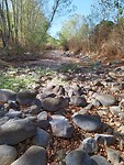 IMG_20220911_103809