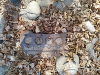 IMG_20220911_104158