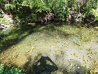 IMG_20220911_105436