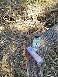 IMG_20220911_111207