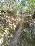 IMG_20220913_101505