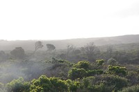 IMG_1288