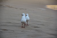 IMG_1315