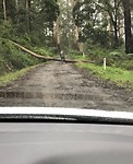 IMG_1752