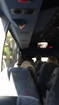Roadtrip Fraser Island