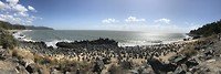IMG_0208