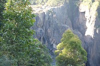 IMG_3584