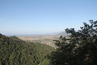 IMG_3599