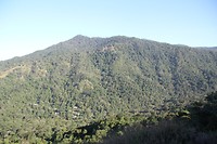 IMG_3600