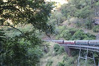 IMG_3611