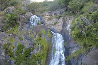 IMG_3617
