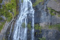 IMG_3618