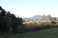 IMG_3622