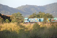 IMG_3623