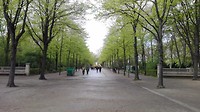IMG_20170423_135437