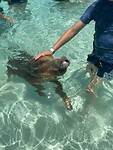 IMG_2468