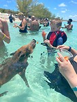 IMG_2465