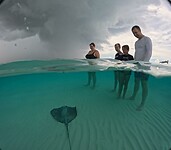 IMG_2496