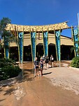 IMG_2540