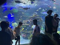 IMG_2545