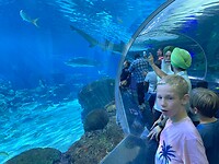 IMG_2546