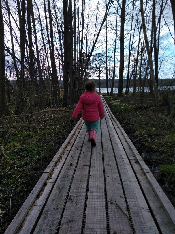 Walk in Tisselskogen