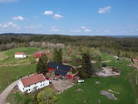 Hogetveits Naturcamp, Abelsaeth