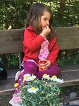 'Lunch' at Tvilling fossen