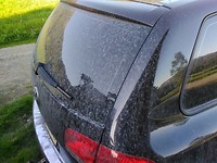 Summary May dust