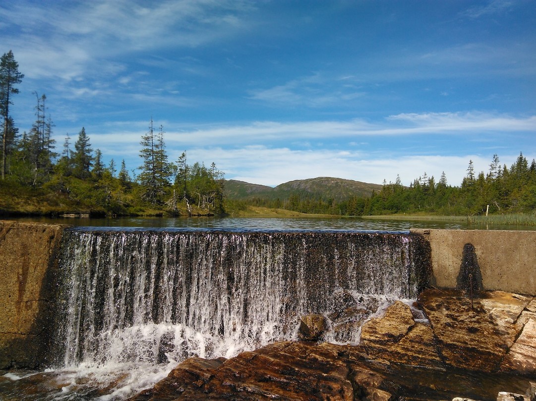 The dam
