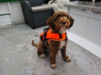 Aily also got a life vest