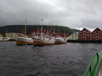 Fishing boats
