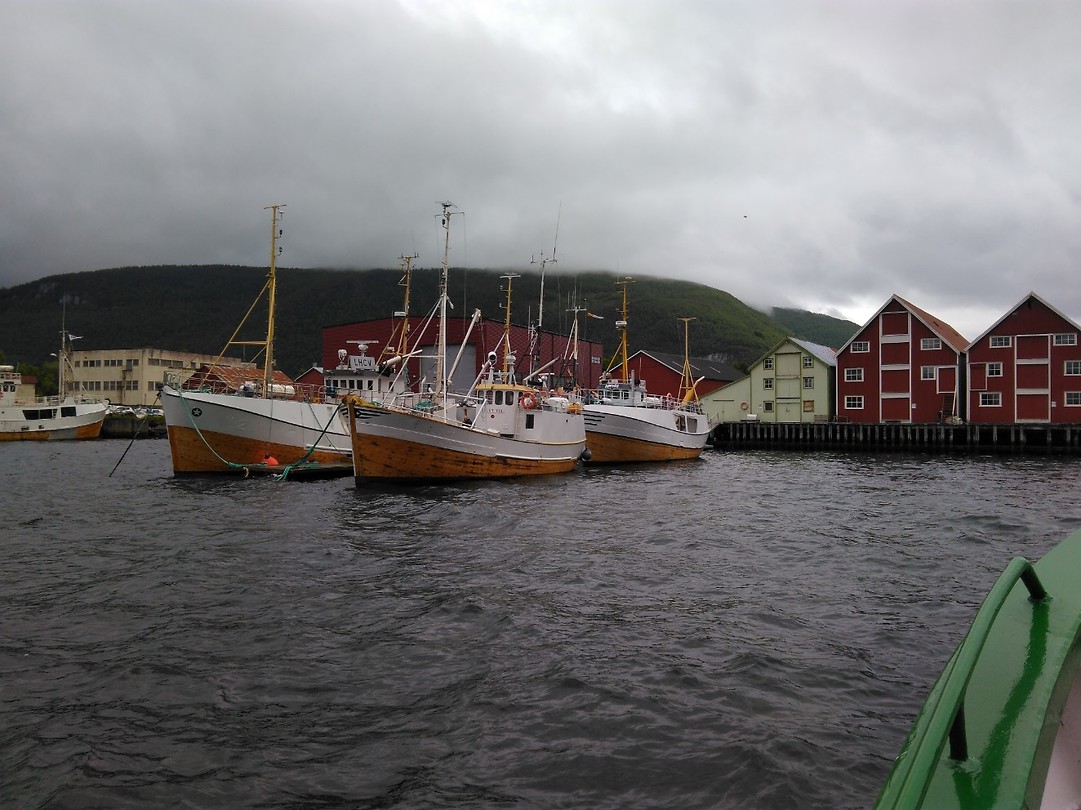 Fishing boats