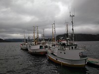 'Our' fishing boat