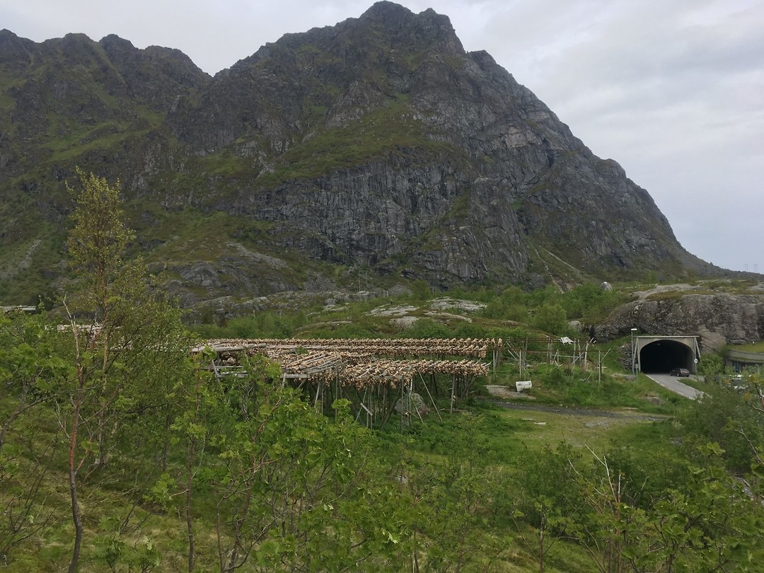 Stockfish overview